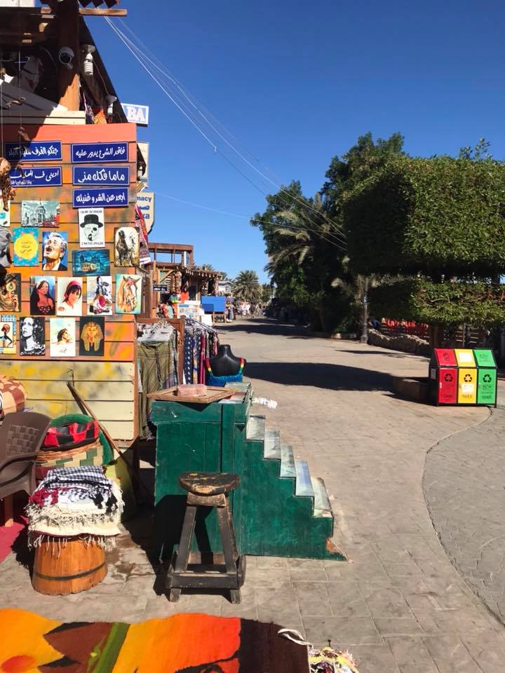 29250016_10156180202691112_5915604026857168348_n