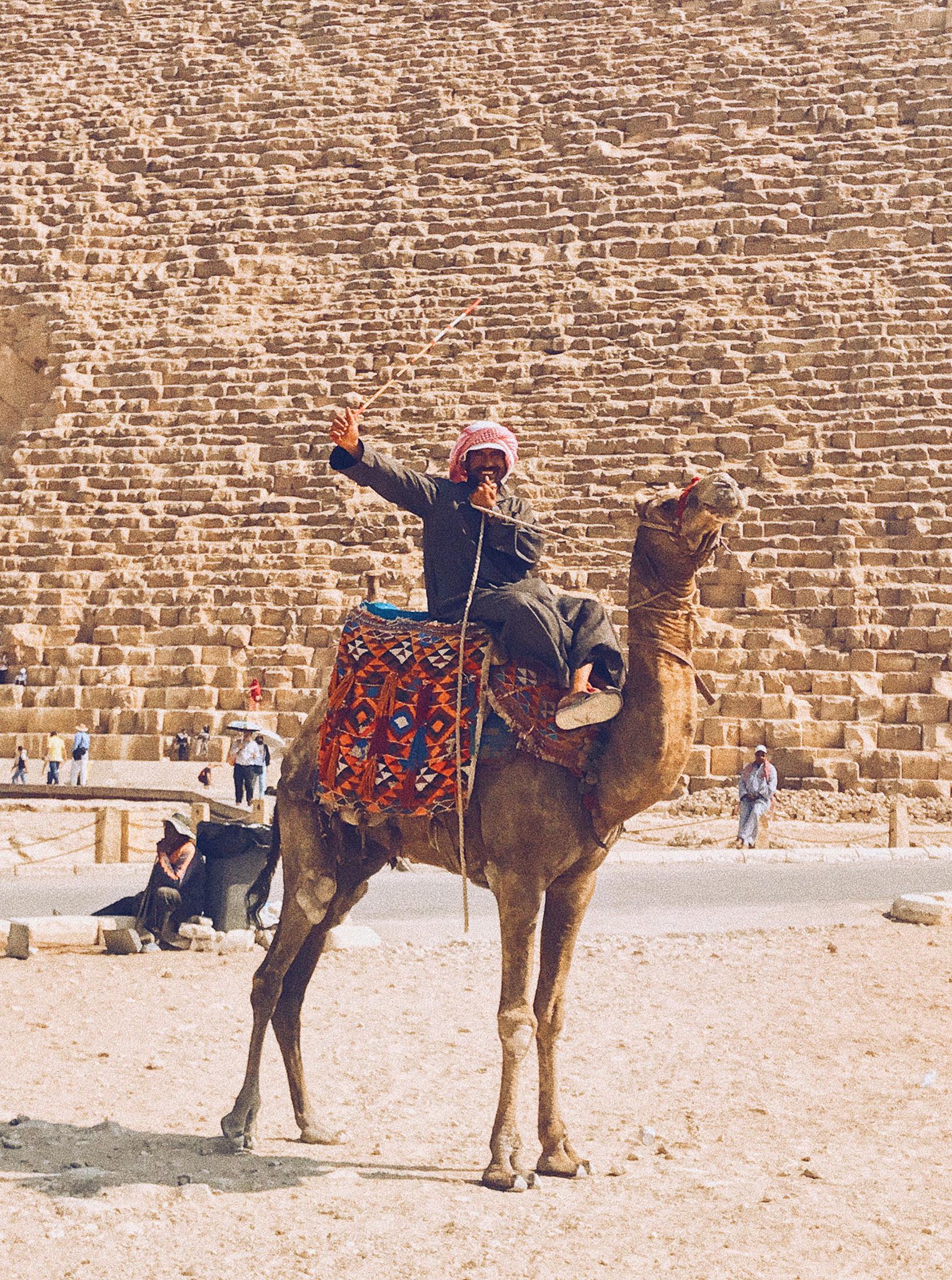 40520652_1834495146636847_8044970432605978624_n