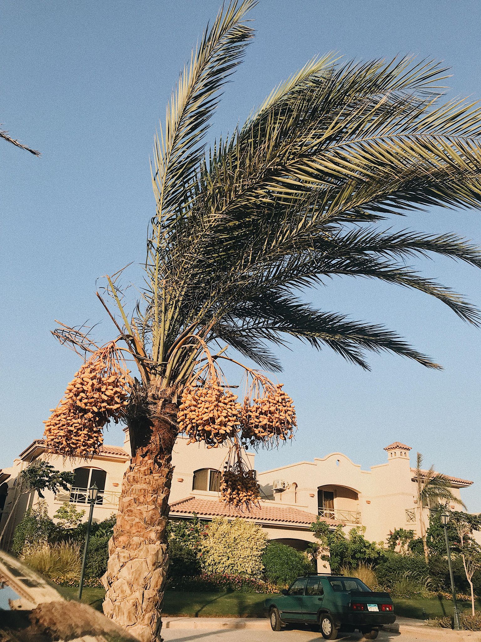 41519878_741694819503375_752905722584367104_n