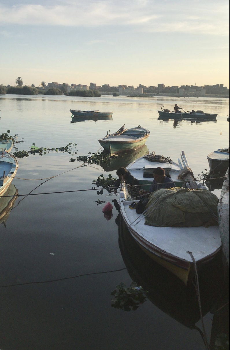 Screen Shot 2018-11-24 at 9.10.23 PM