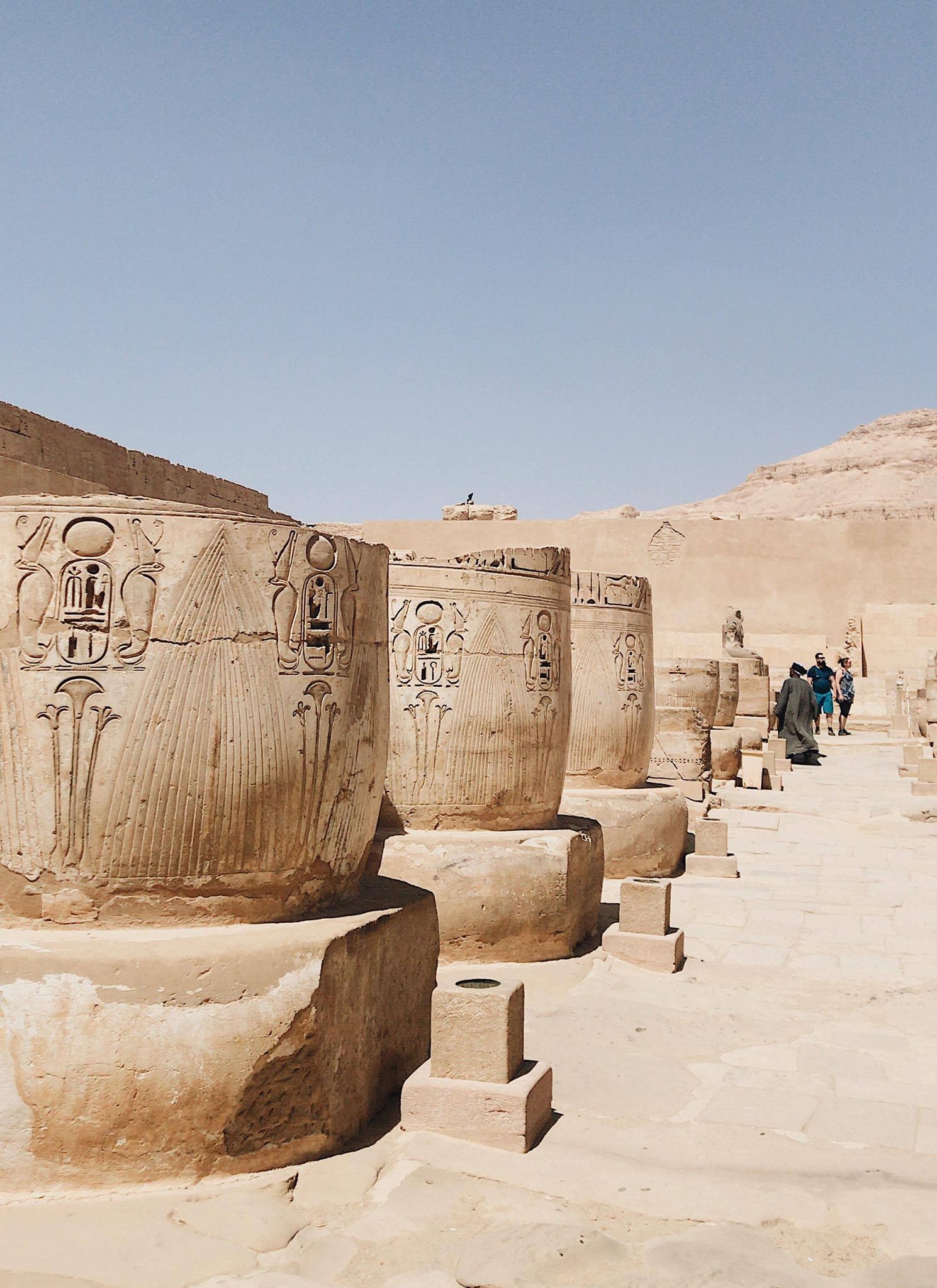 54436700_683252668759192_7136484166878625792_n