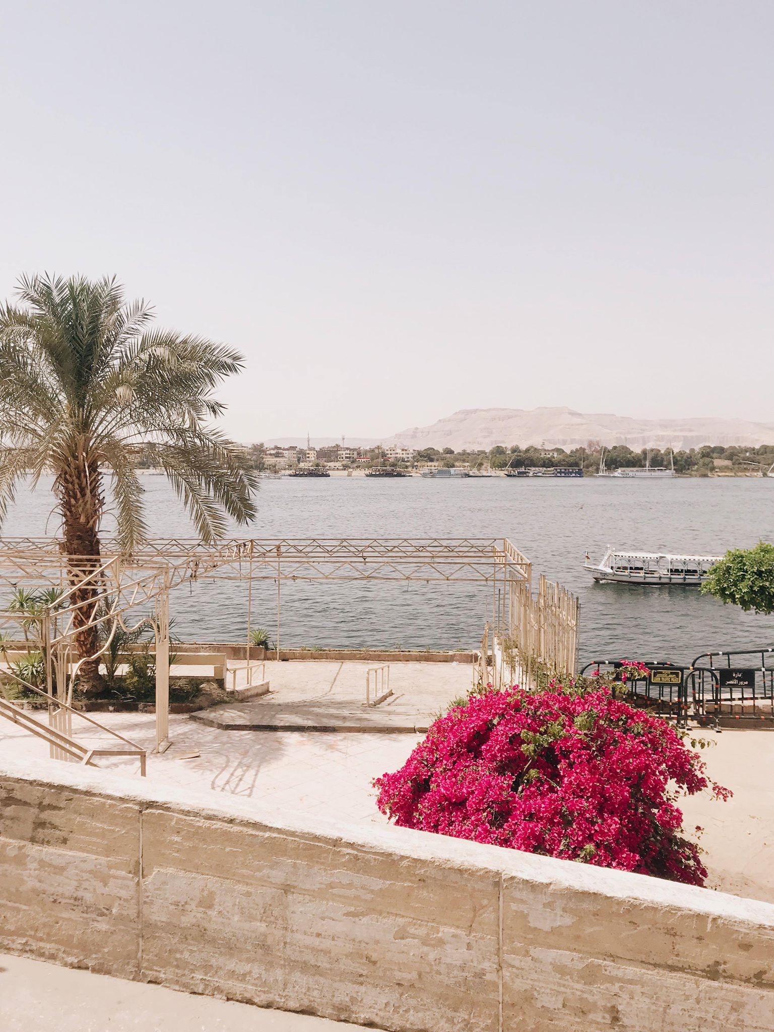 54728602_491943804672291_5713103370437263360_n