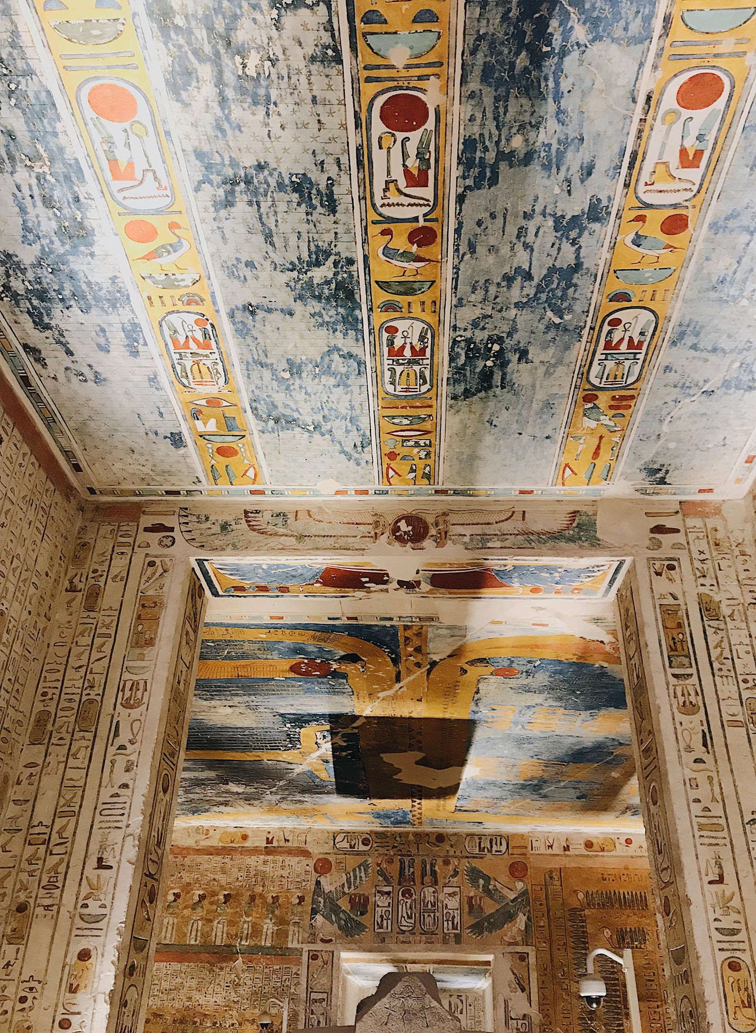 54729173_426931431448178_2313245527082270720_n