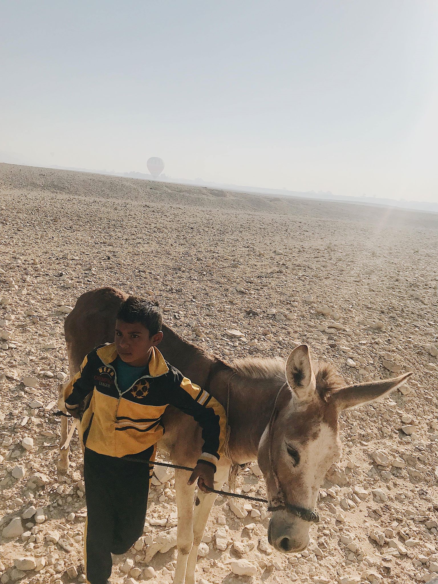 54729412_396740444449289_7184459368186773504_n