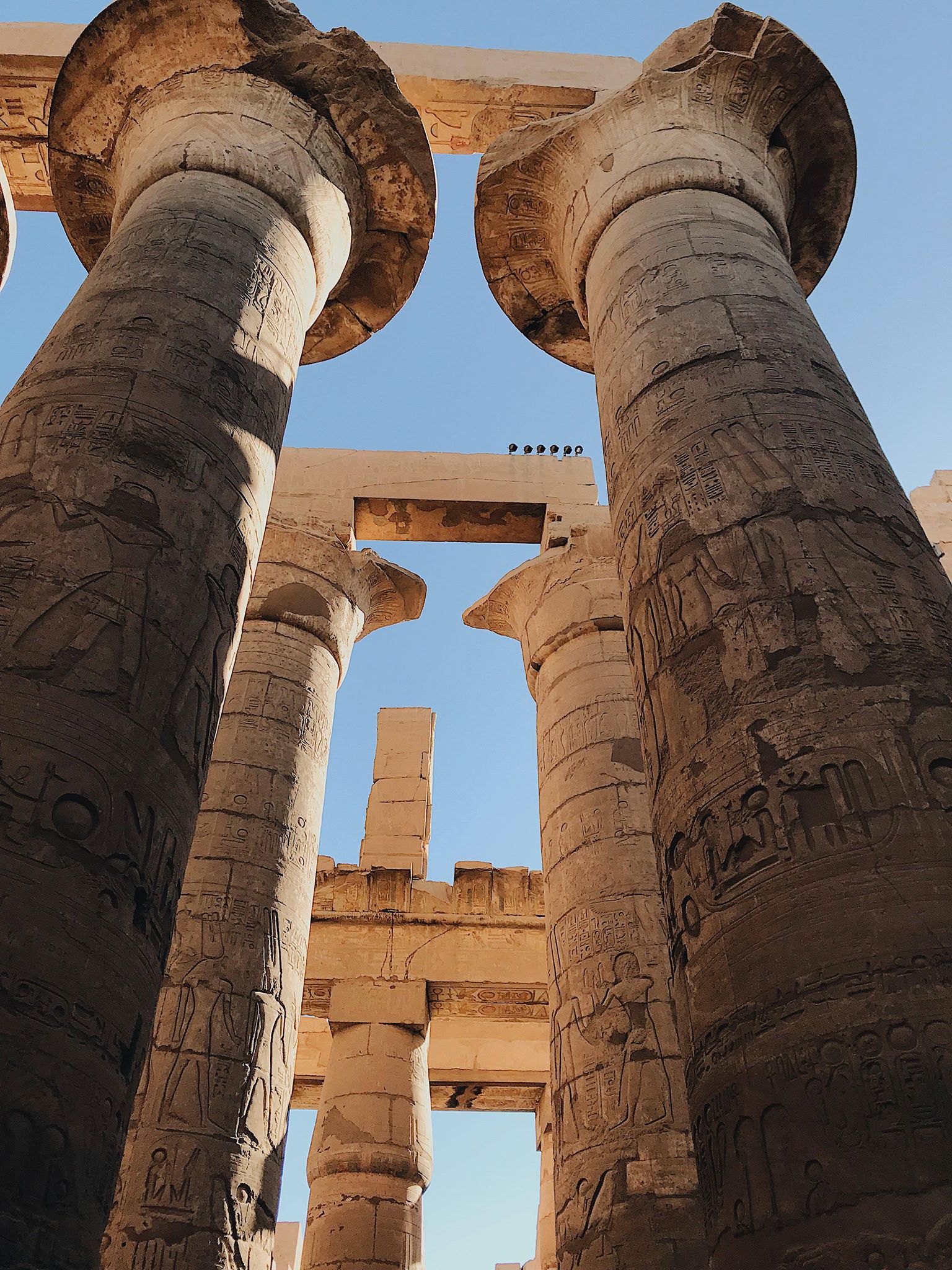 55484498_346731532716868_4887351390445240320_n