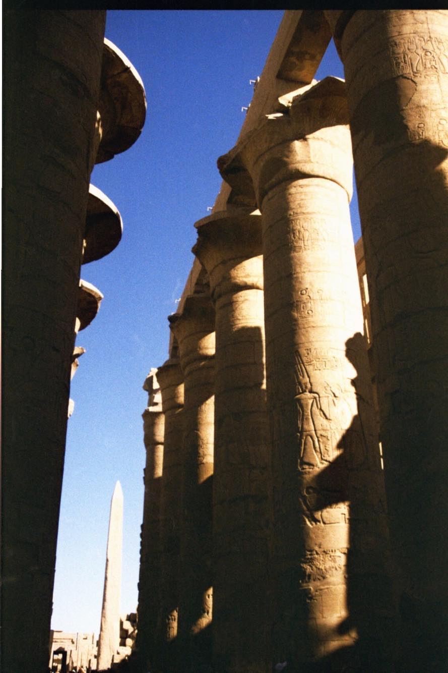 57442654_329844347717126_4078422324905246720_n