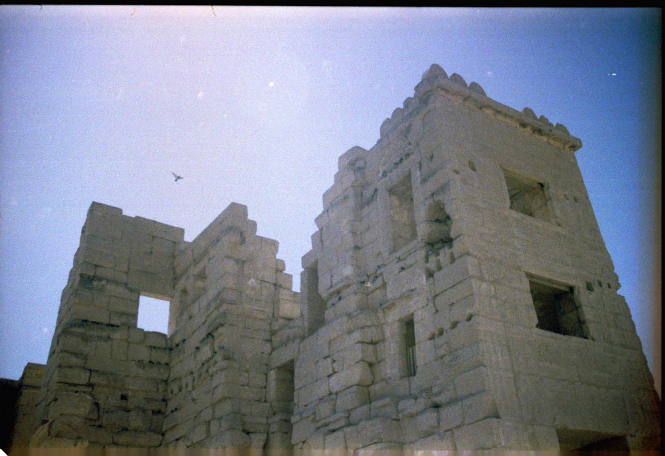 57502808_334909993831238_8692513490658656256_n