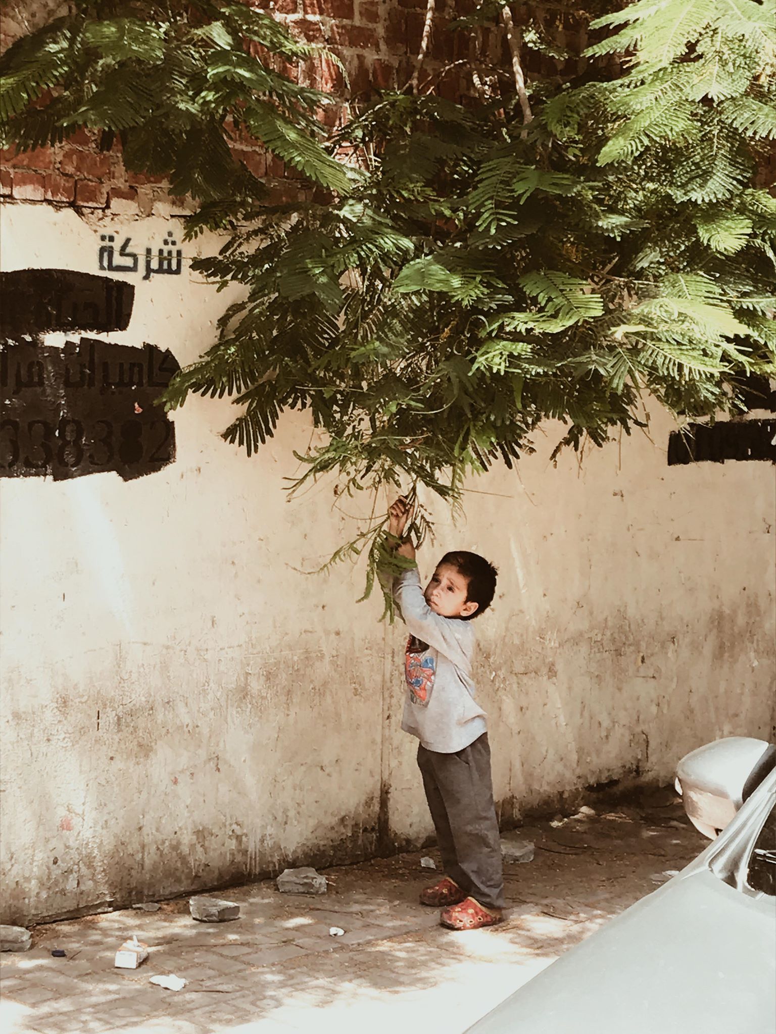 65157392_428151507740734_1267189616323067904_n