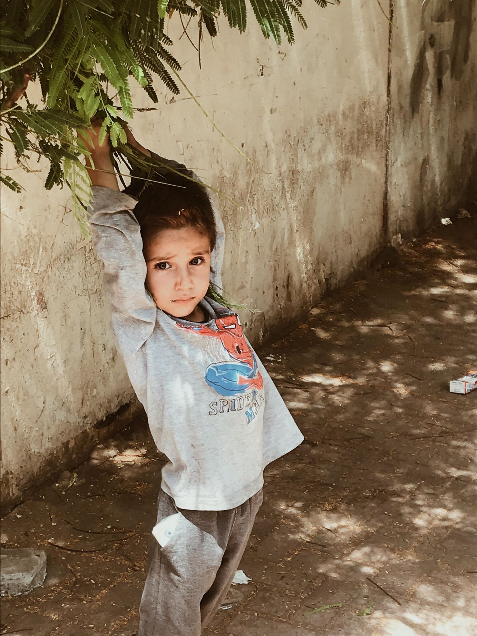 65873288_914462668894045_155389666206416896_n