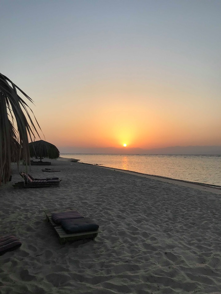 70228629_1371734379675488_5266659163743715328_n