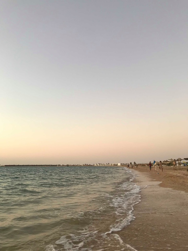 70275412_2180496382243089_3263057865052520448_n