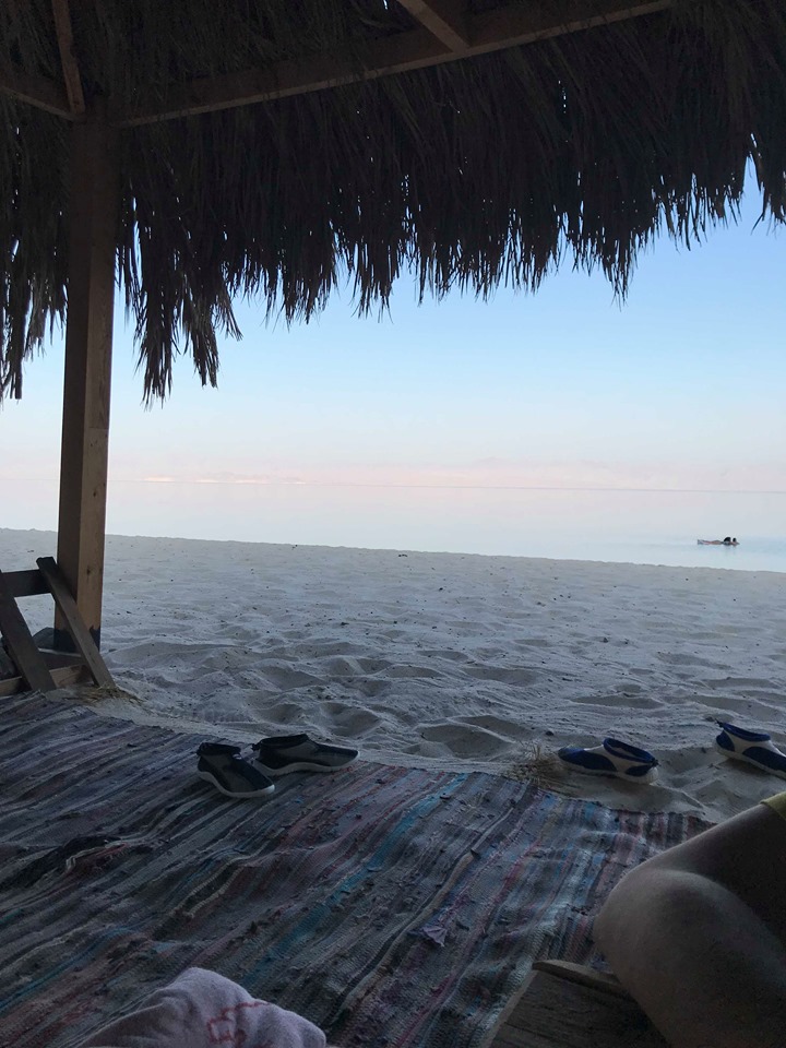 70669229_2519517248319153_7725445520281305088_n